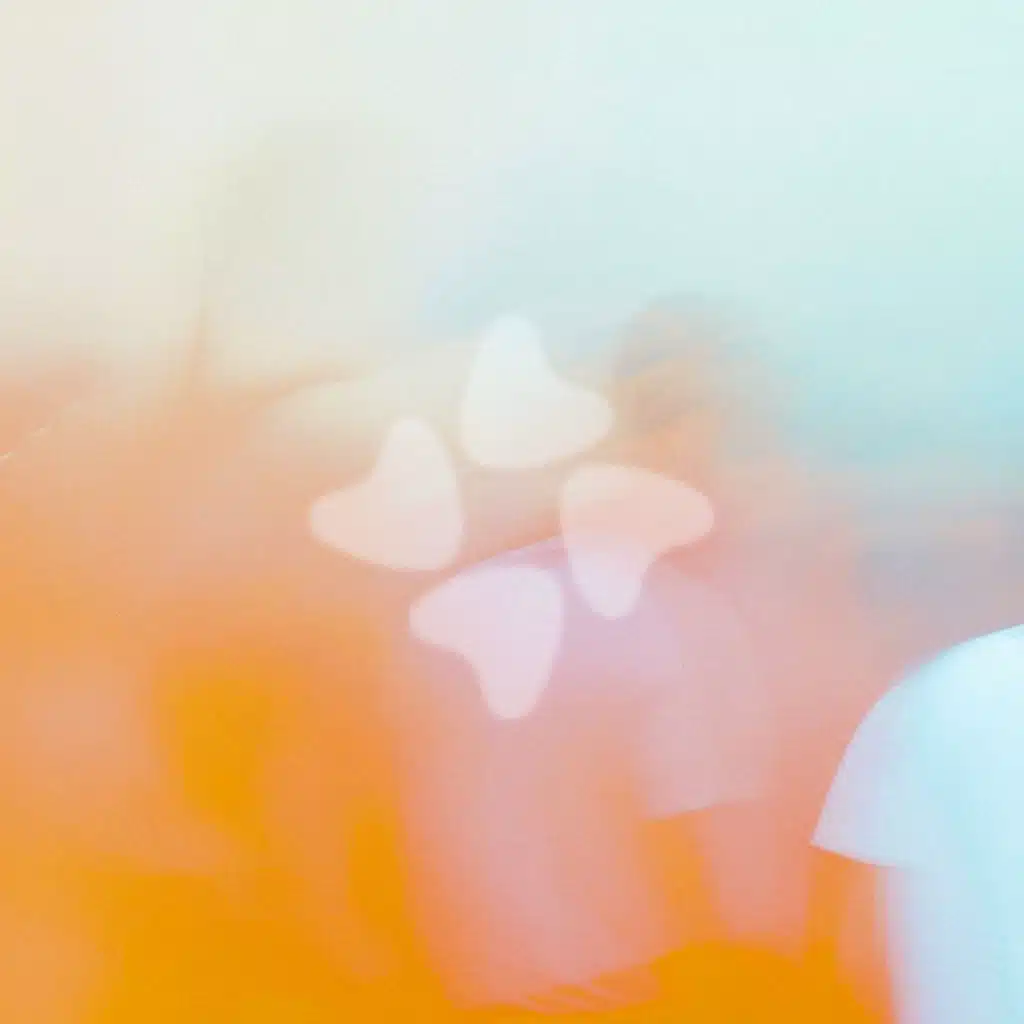 Nyday, Dizaro & Mondingo