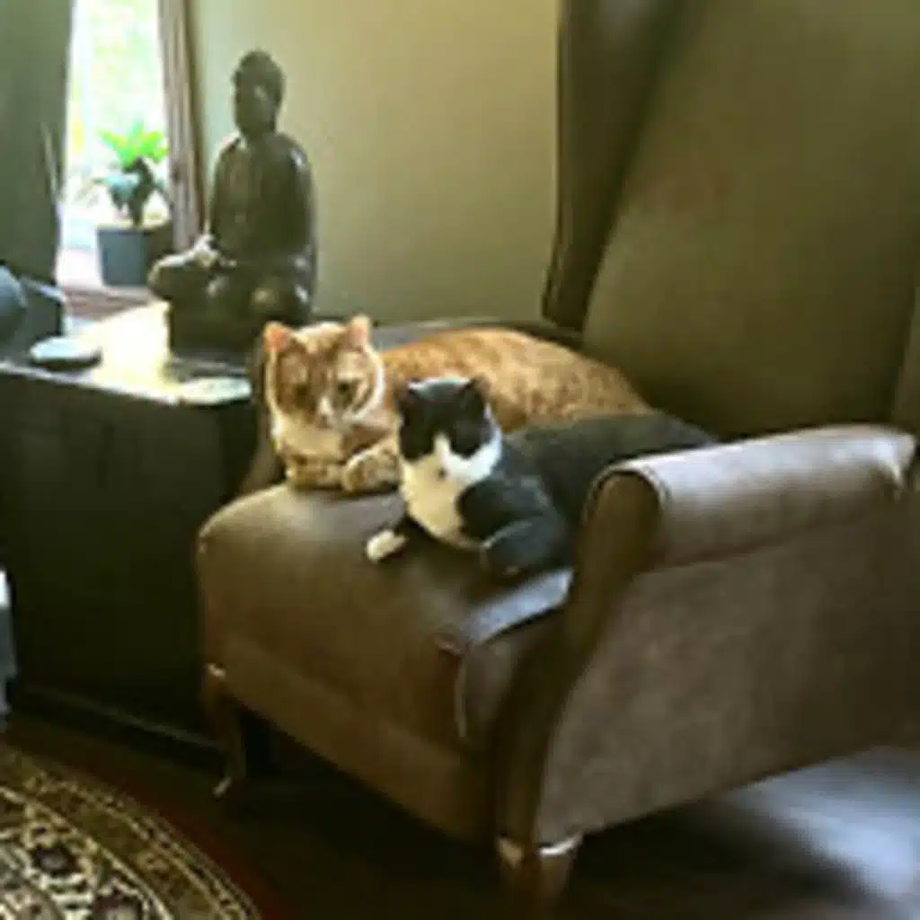 Episode 2892 CWSA 07/09/25