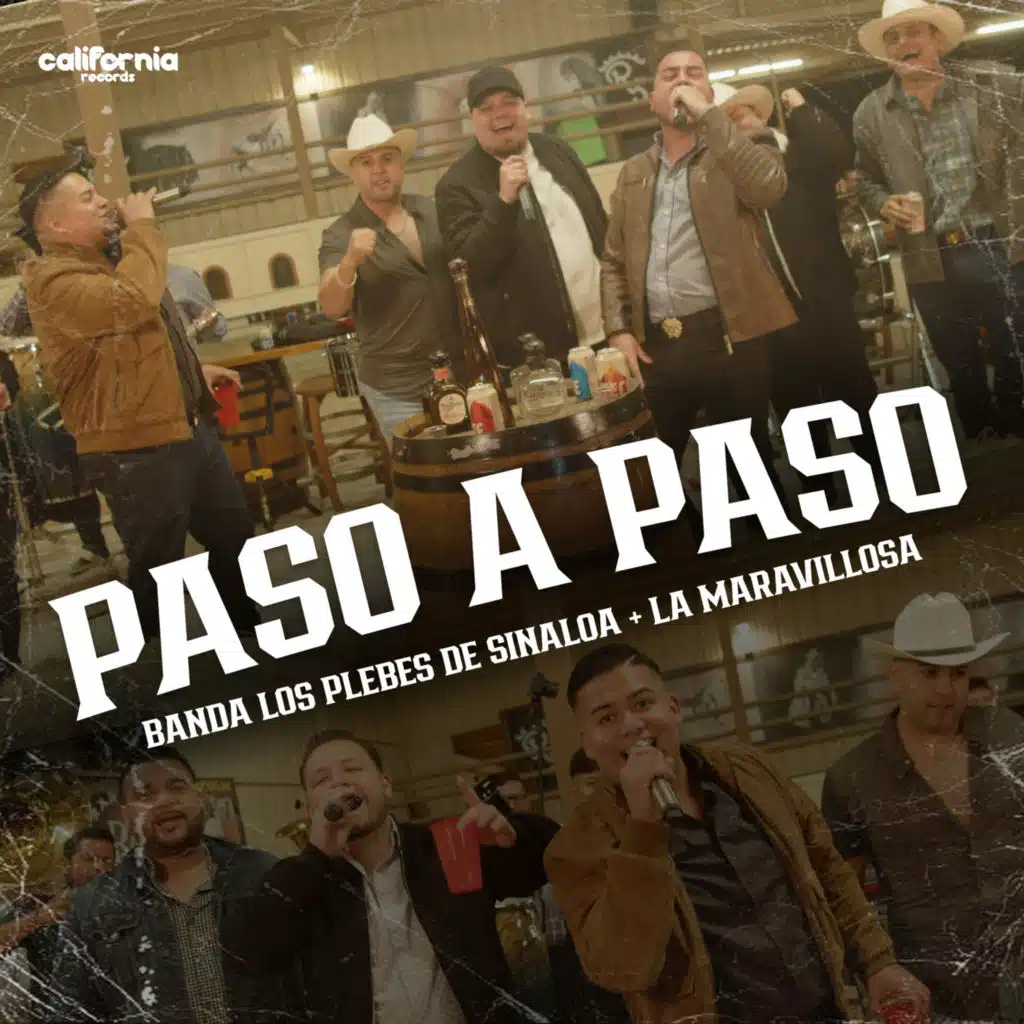Banda Los Plebes De Sinaloa, Banda La Lujosa, Banda La Concentida, Banda La Maravillosa, Banda Imperio Sinaloense & Jr Salazar