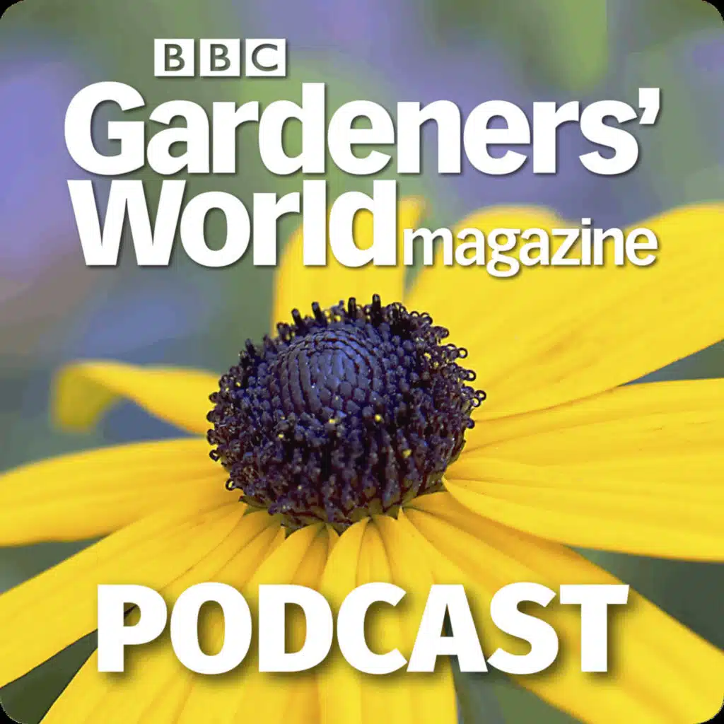 Flower arranging for the Royal Family, with Shane Connolly