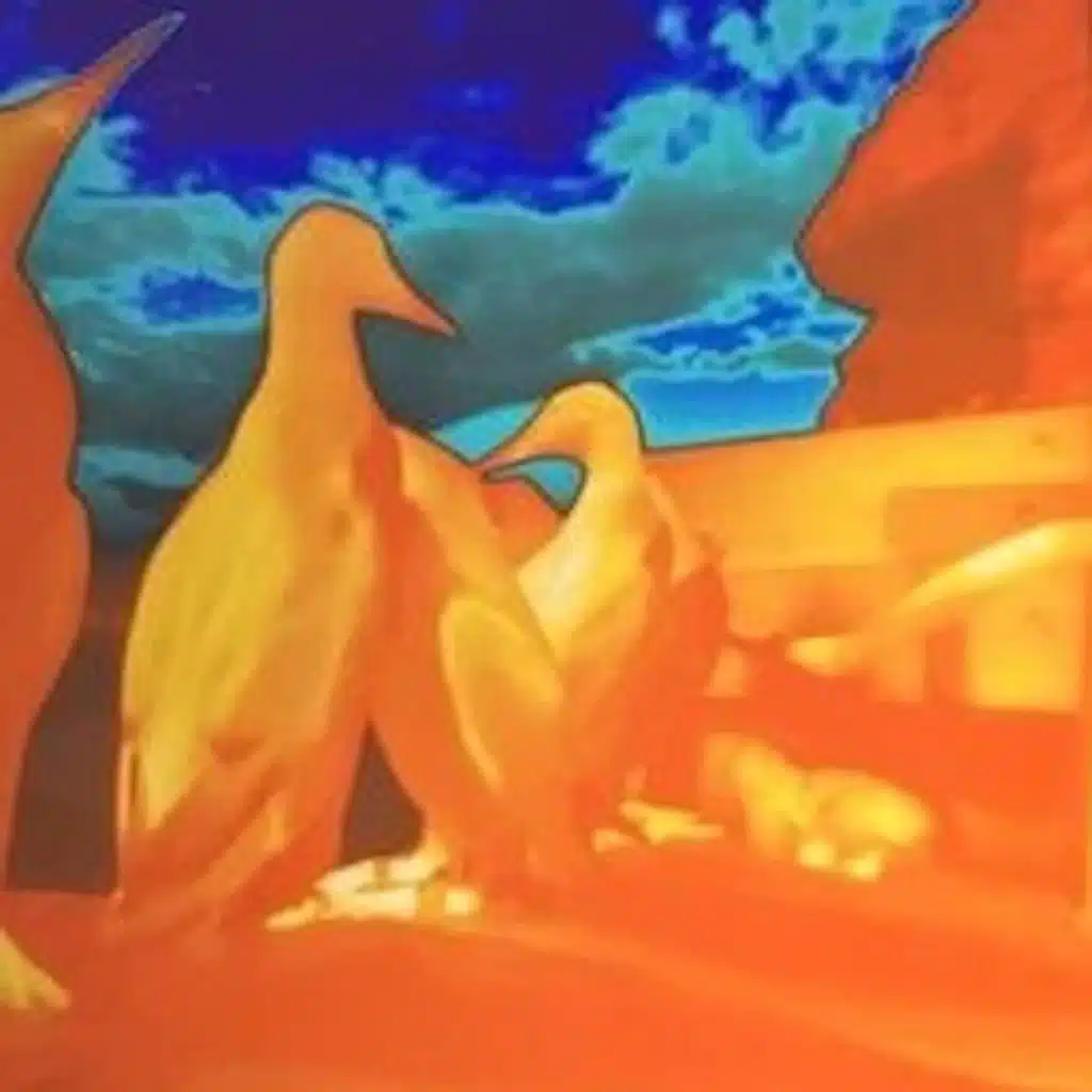 AI revolutionerar forskningen om sillgrisslor på Stora Karlsö