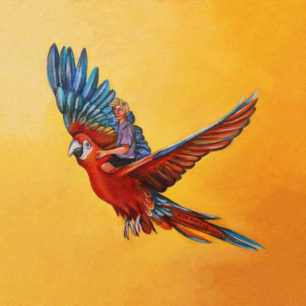 Flying On A Parrot