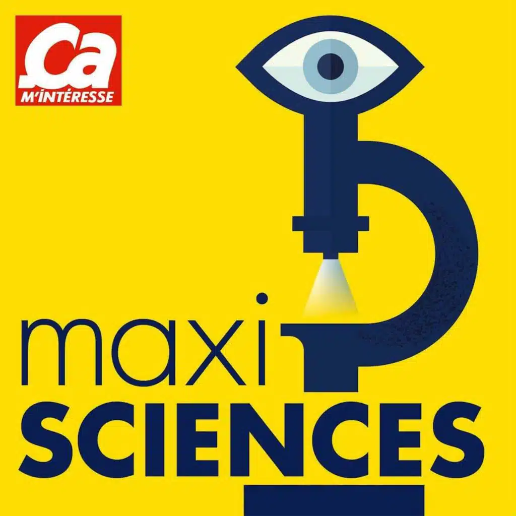 Qu'est-ce que le rituel des têtes réduites ?