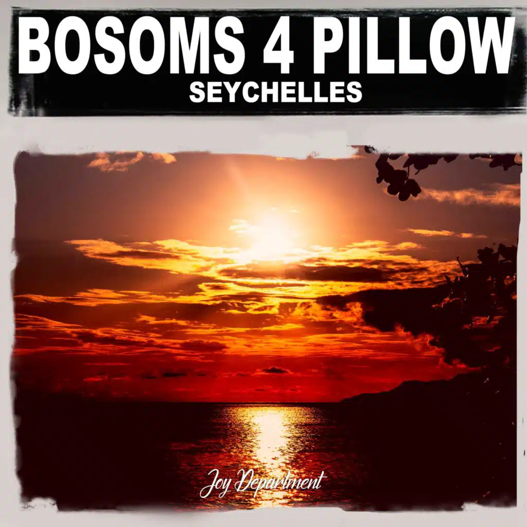 Bosoms 4 Pillow