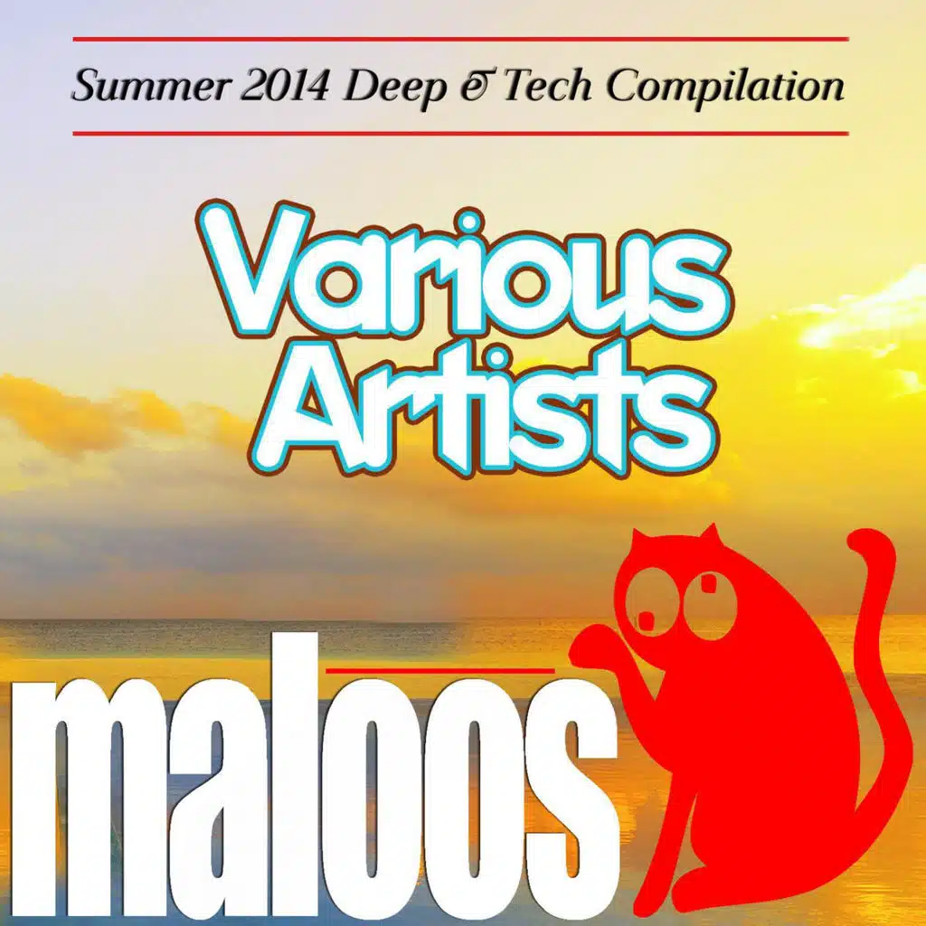 VA - Summer 2014 Deep & Tech