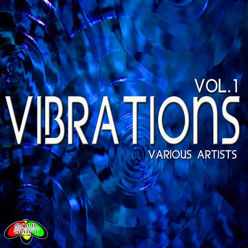 Vibrations Vol. 1