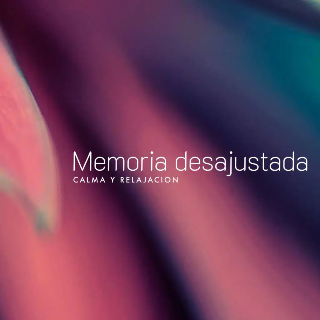 Calma y Relajación