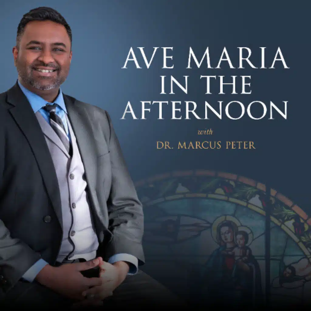 Ave Maria In The Afternoon - 2025-07-09 - I Lost My Son to an AI Chatbot