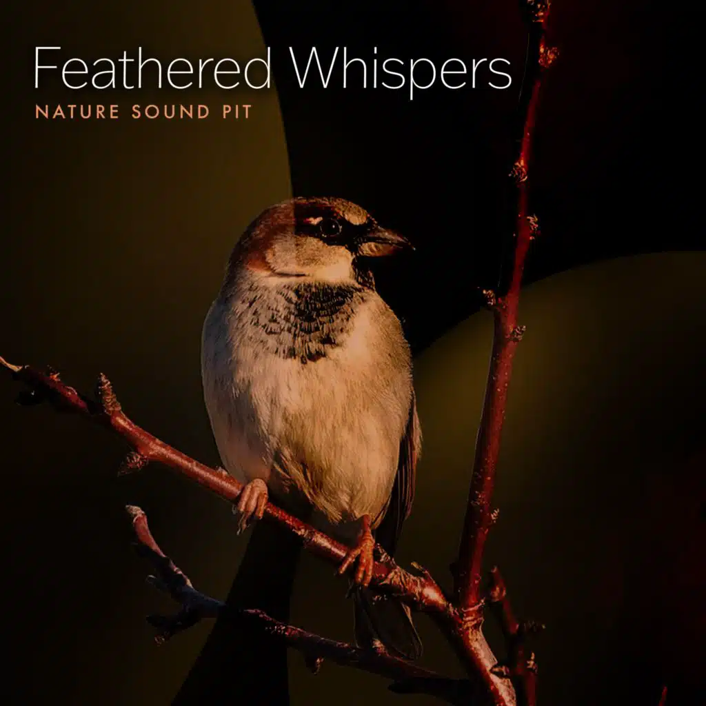 Nature Sound Pit