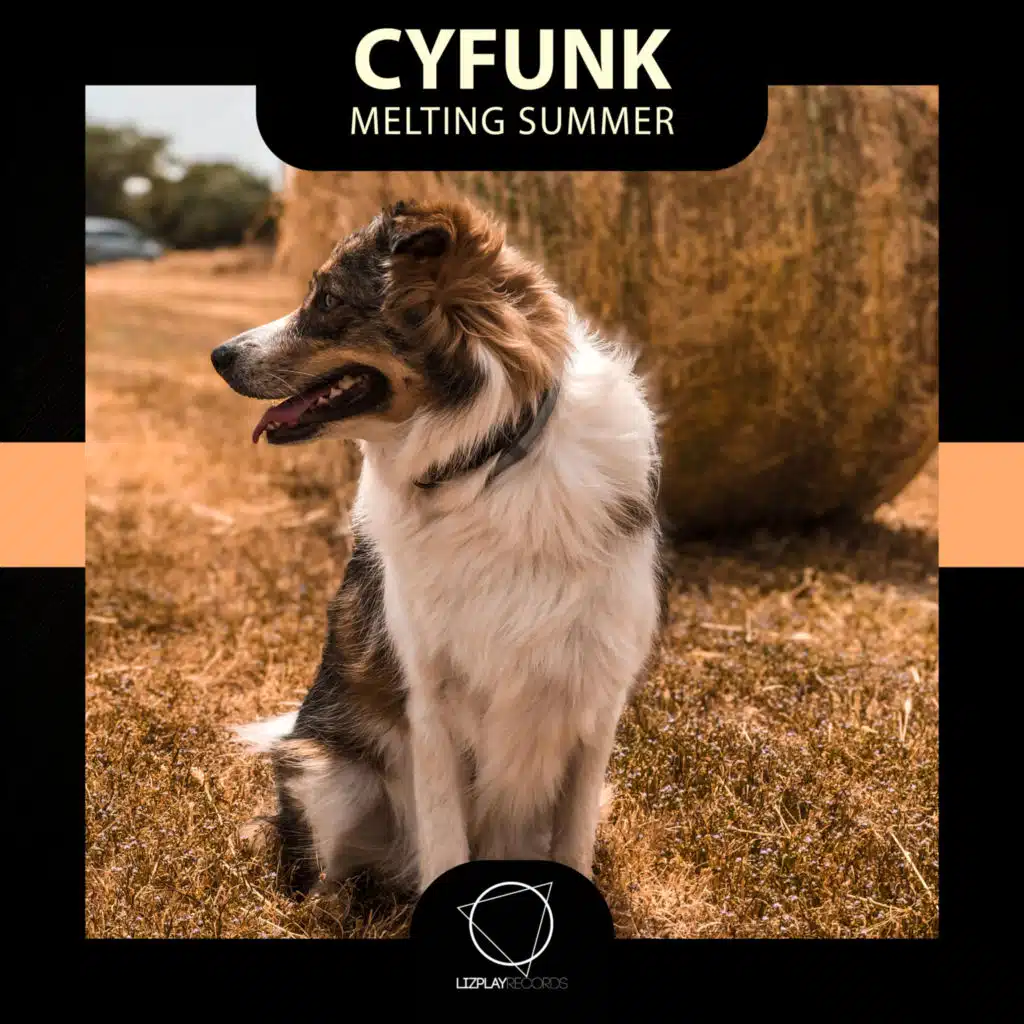 CyFunk