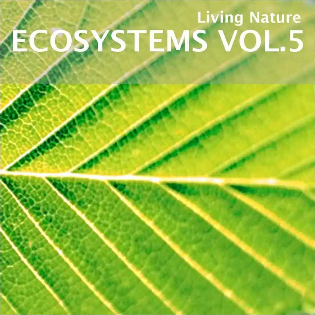 ECOSYSTEMS VOL.5