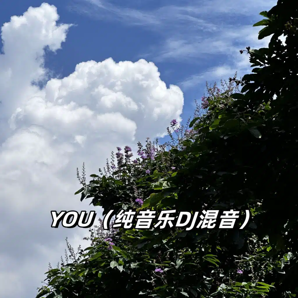 YOU (纯音乐dj混音)