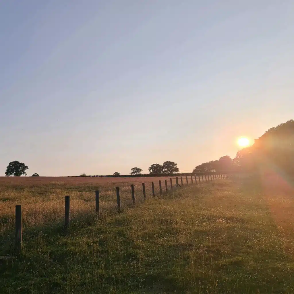 Sound Escape 229. Revel in the pure music of curlews at sunset