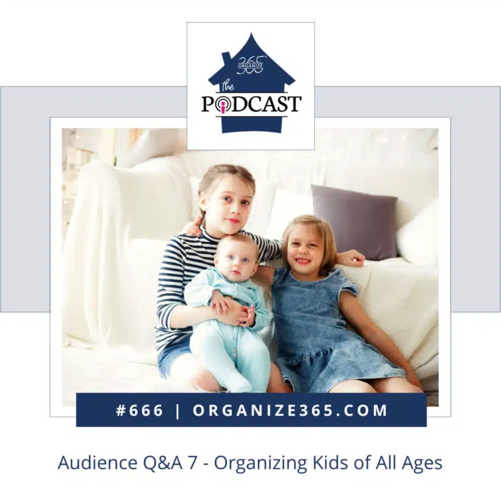 666 - Audience Q&A 7 - Organizing Kids of All Ages