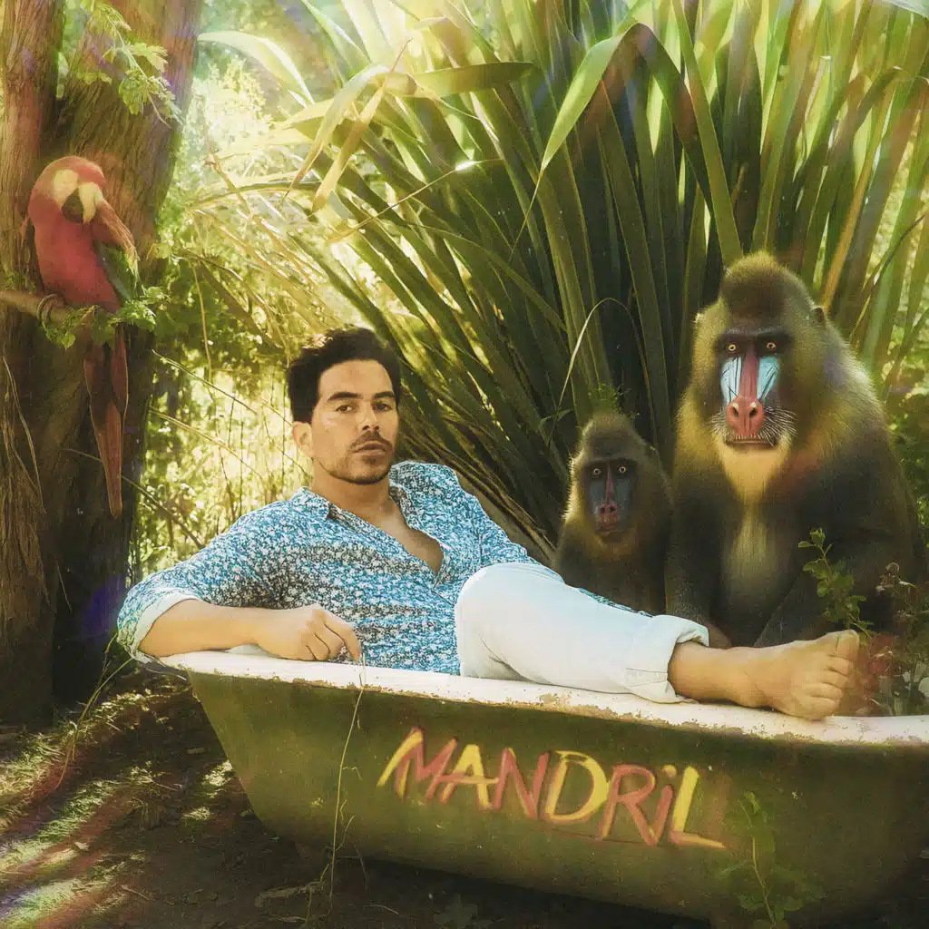 Mandril
