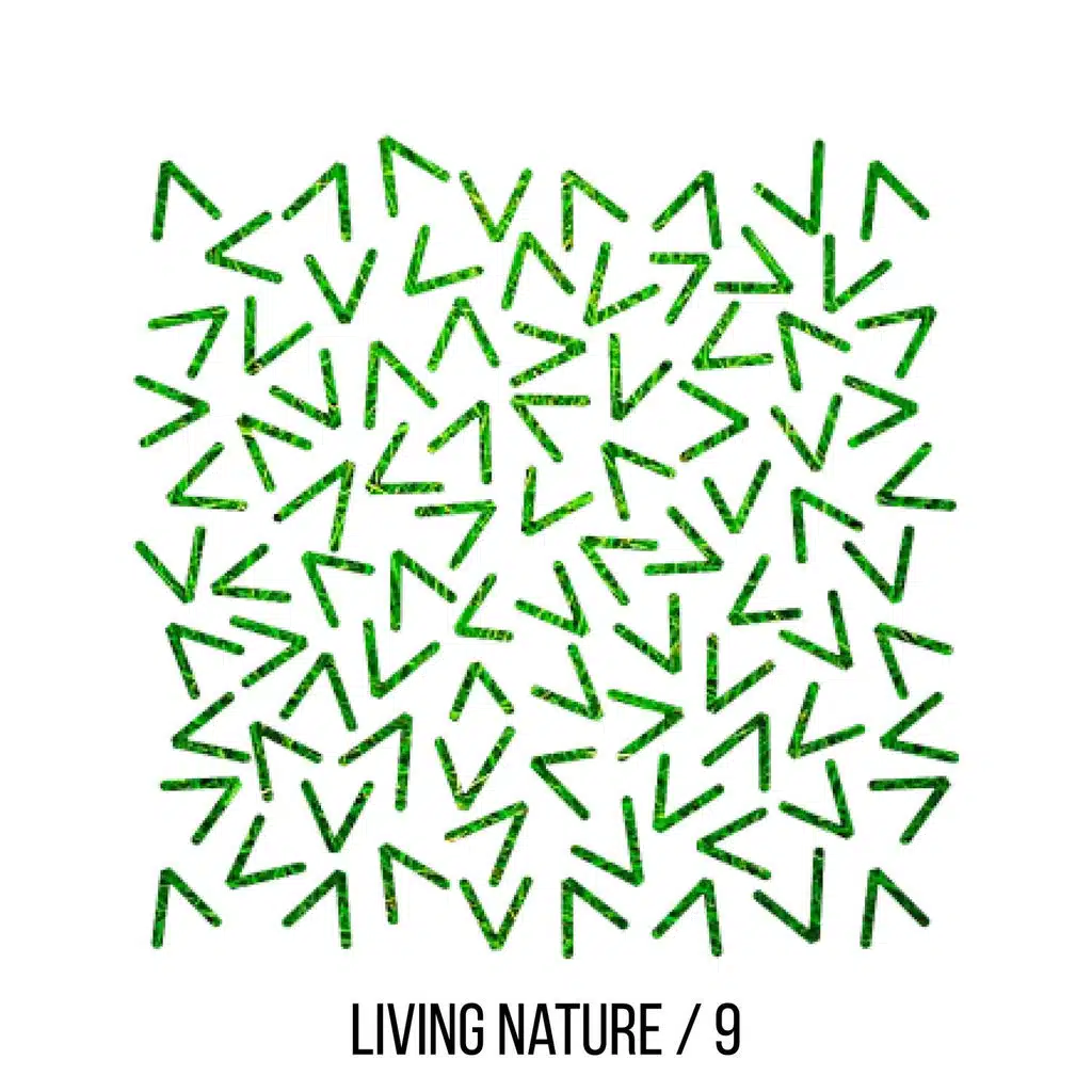 Carlo Cavalli & Menny Fasano