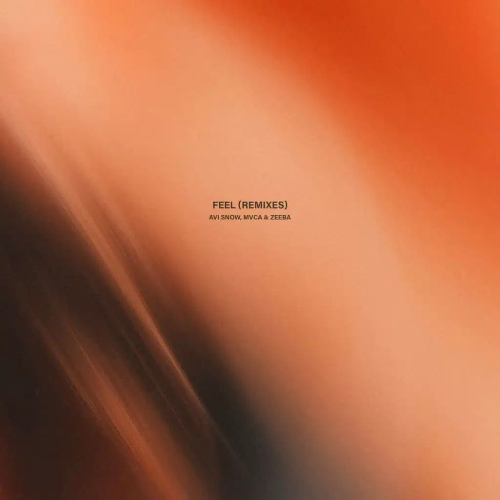 Avi Snow, MVCA & Zeeba