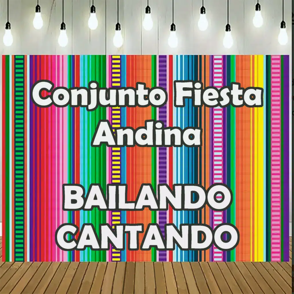 Conjunto Fiesta Andina
