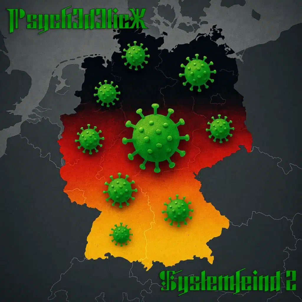 Fotzenfritz (Akustikversion)