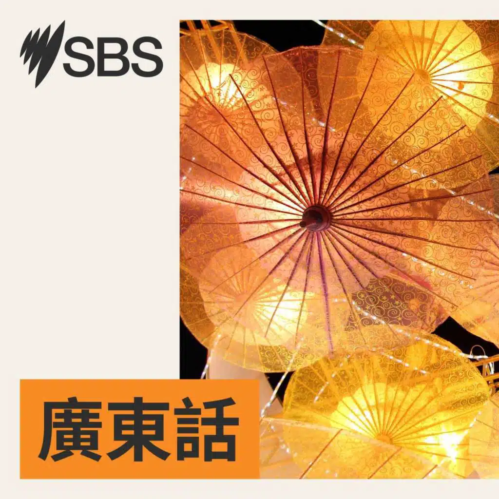 SBS廣東話新聞（2025 年 7 月 12 日）