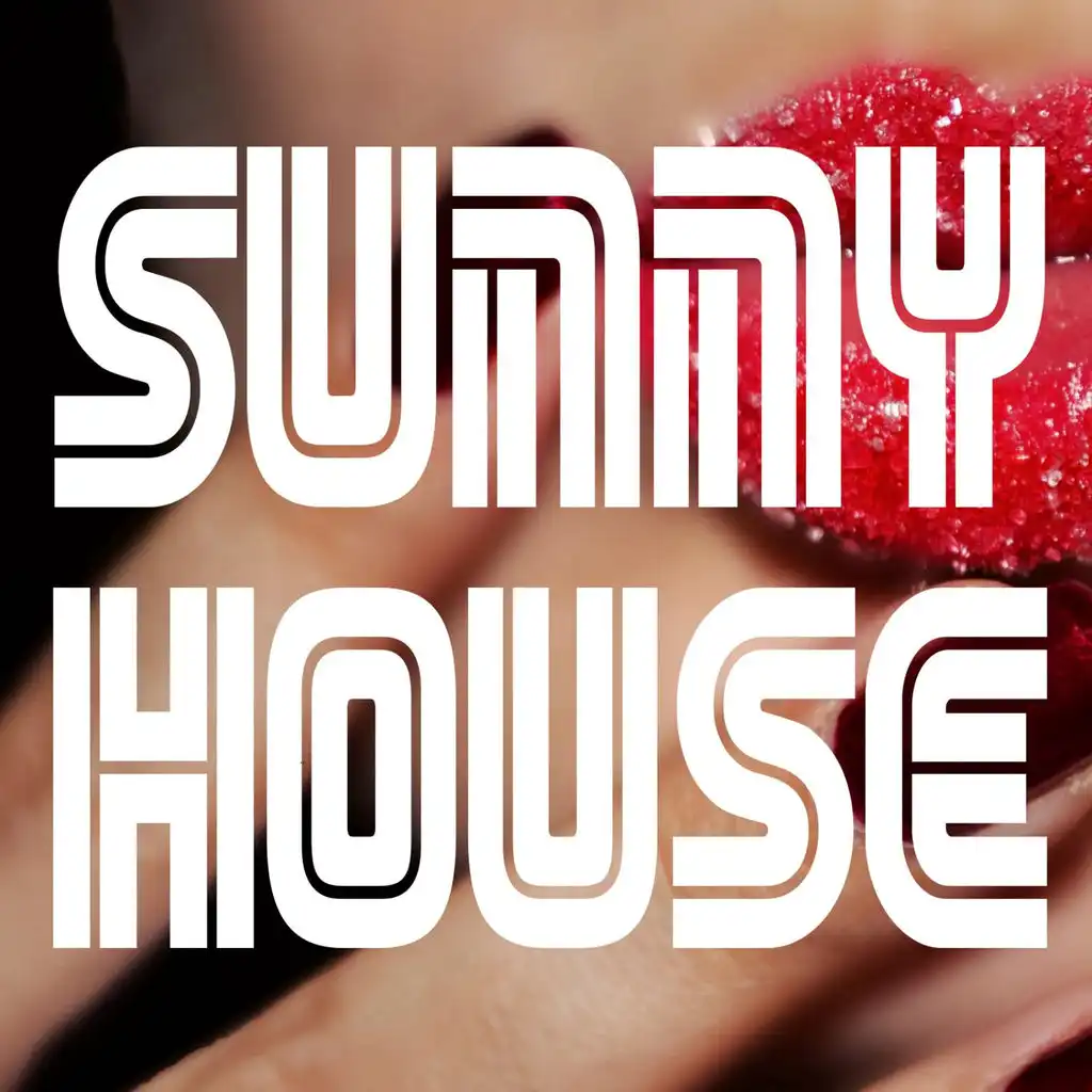 Sunny House (Continuous Dj Mix)