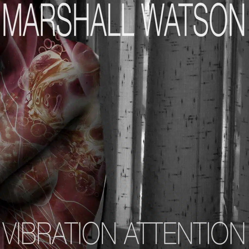 Vibration Attention