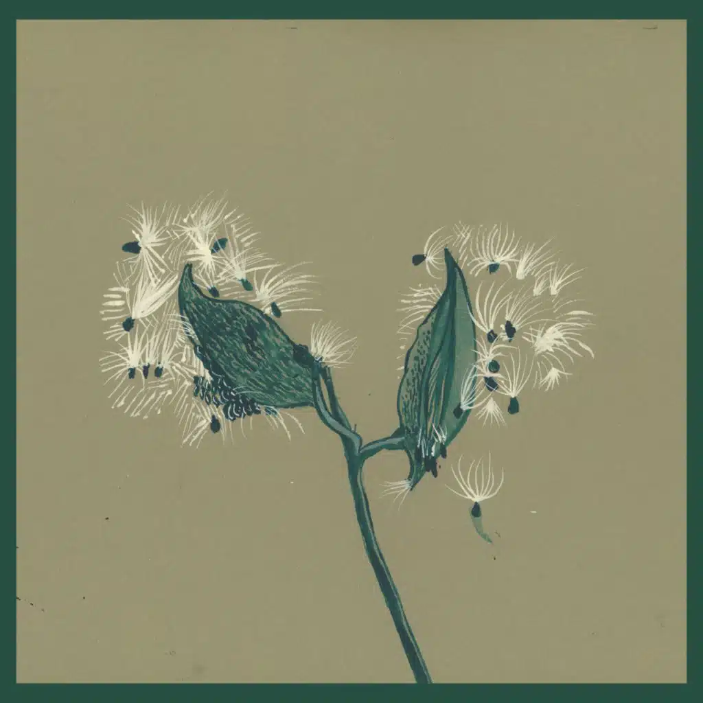 Dirty Projectors, David Longstreth & Stargaze