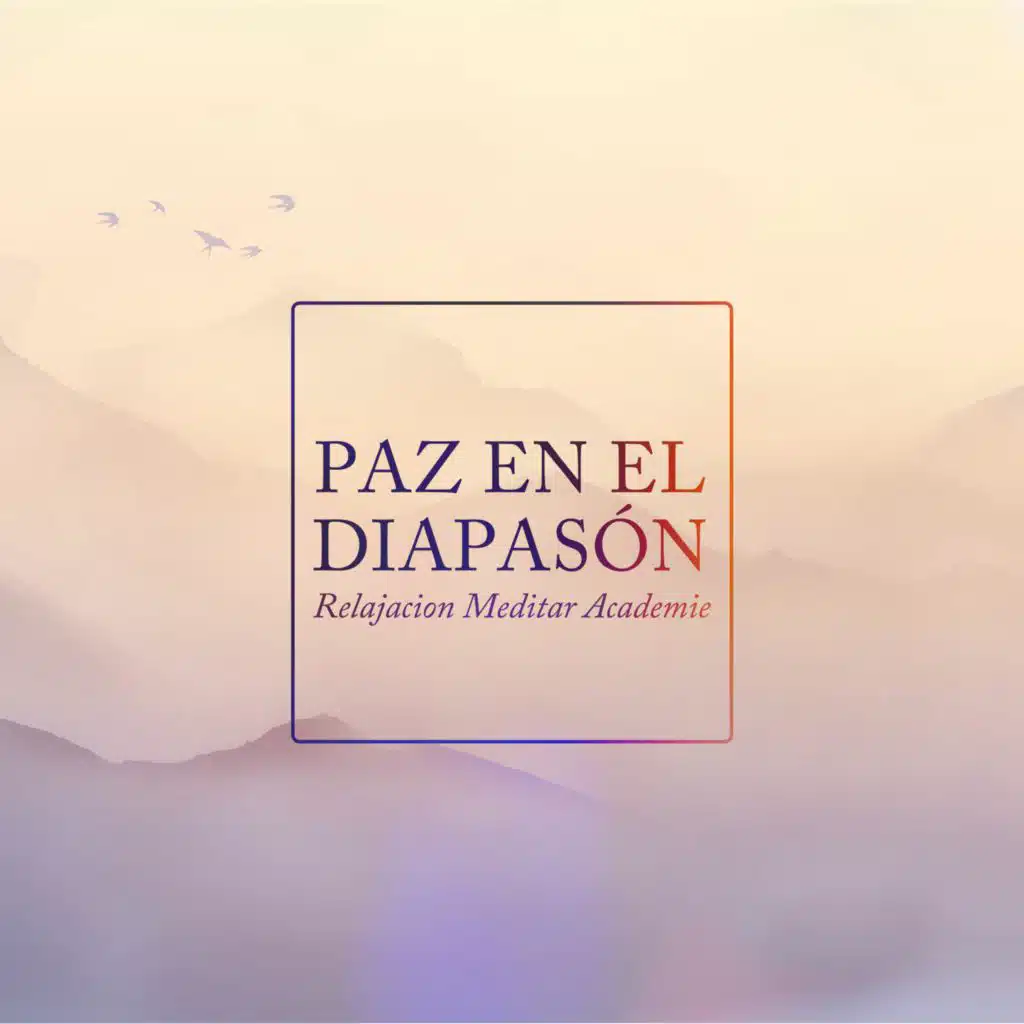 Relajación Meditar Academie