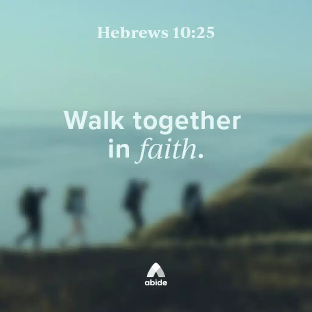 Comfort in Community