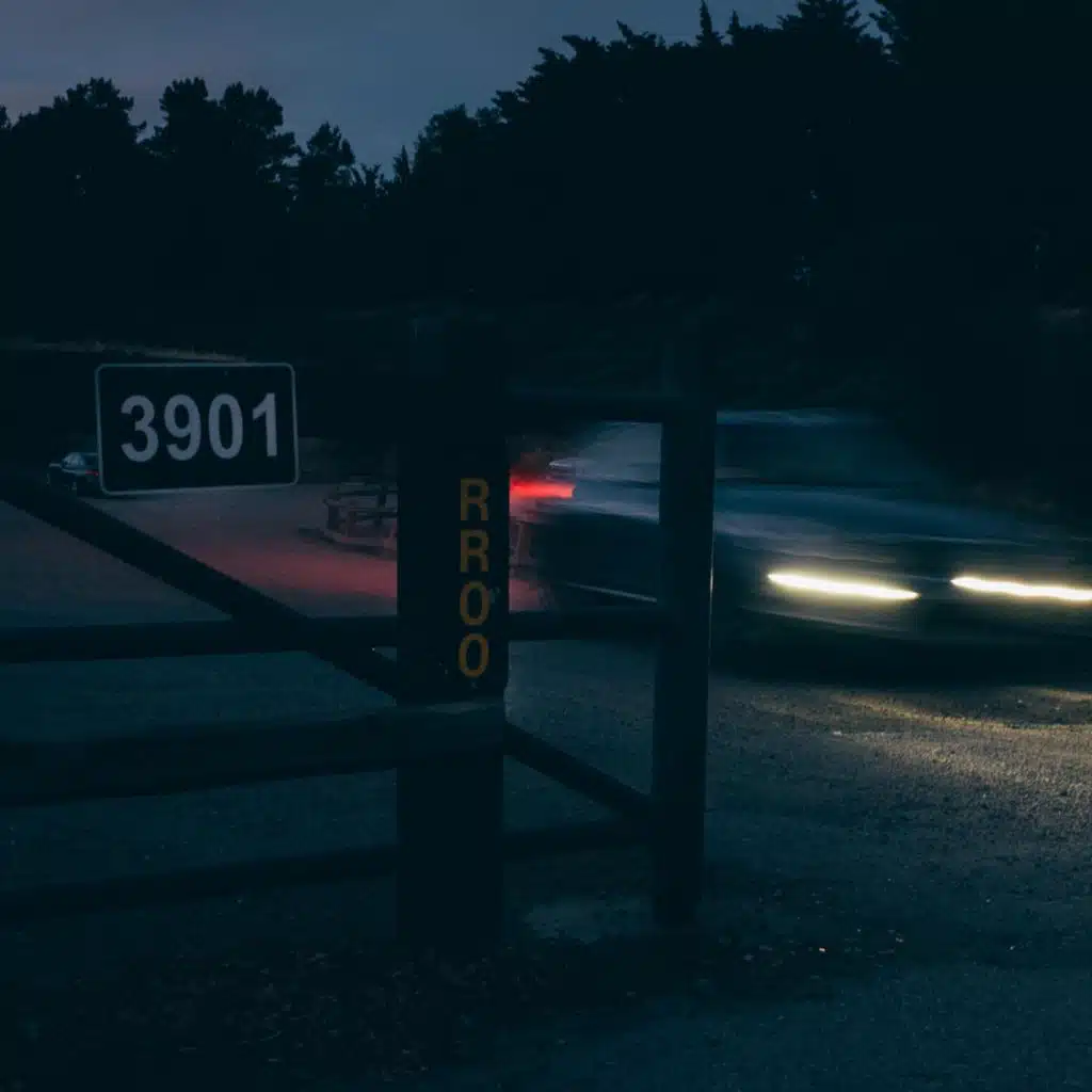 Delicate Reflex, Pt. 1