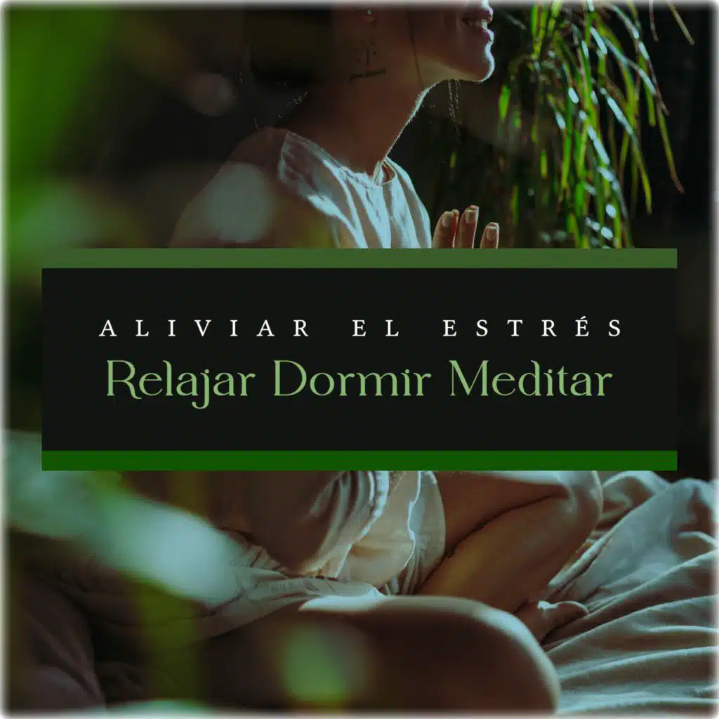Relajar Dormir Meditar