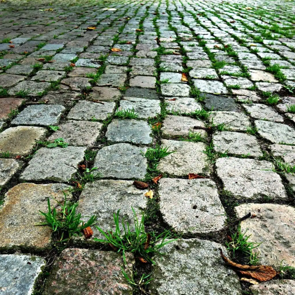 Episode 27 – Workhouses: Part 2