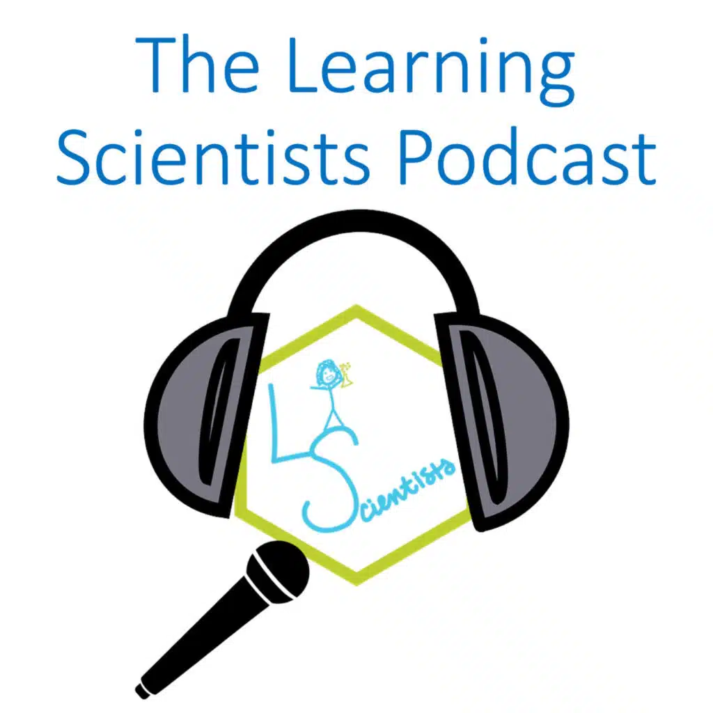Episode 91: Executive Functioning in Special Education with Sean McCormick