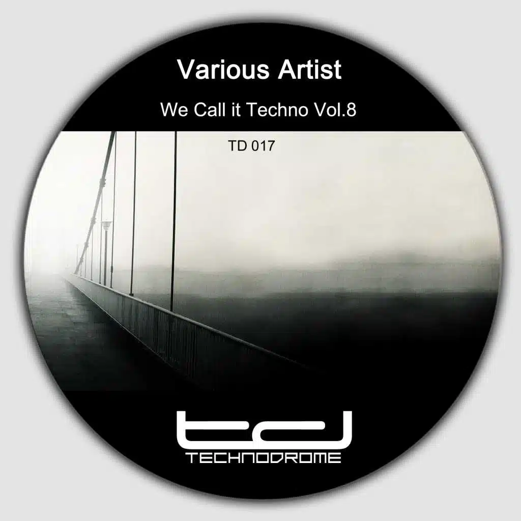 We Call It Techno, Vol. 8