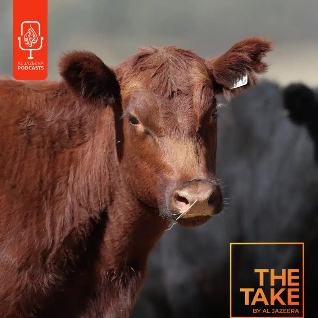 Eating our way out of climate collapse