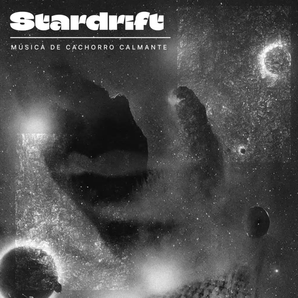 Música de Cachorro Calmante