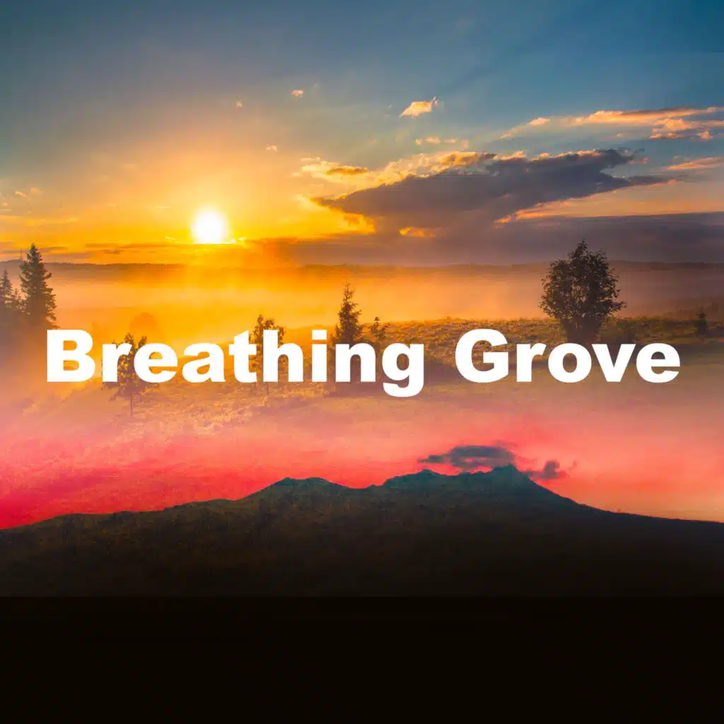 Nature Sounds & Backgrounds