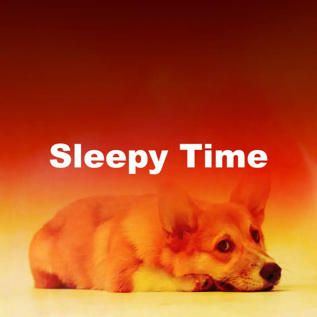 Sleepy Time