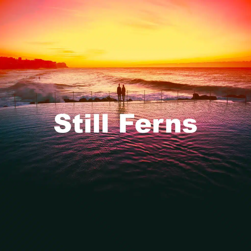 Secret Of The Rainforest