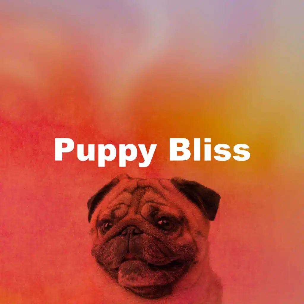 Puppy Bliss
