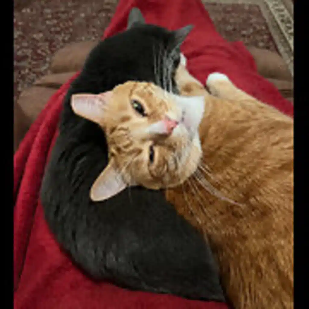 Episode 2898 CWSA 07/15/25