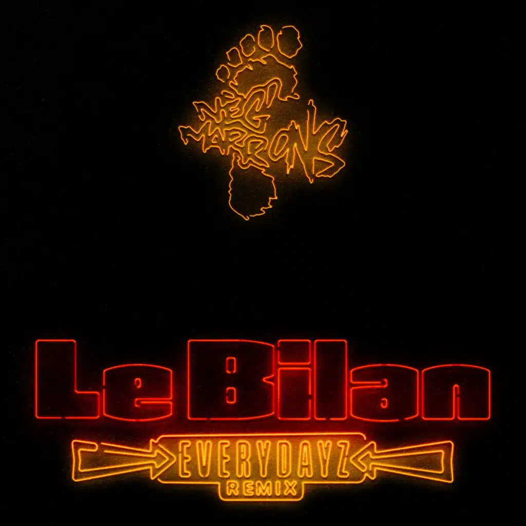 Le bilan (Everydayz Remix)