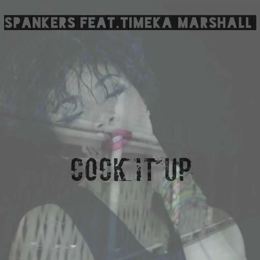 Cock It Up (feat. Timeka Marshall)