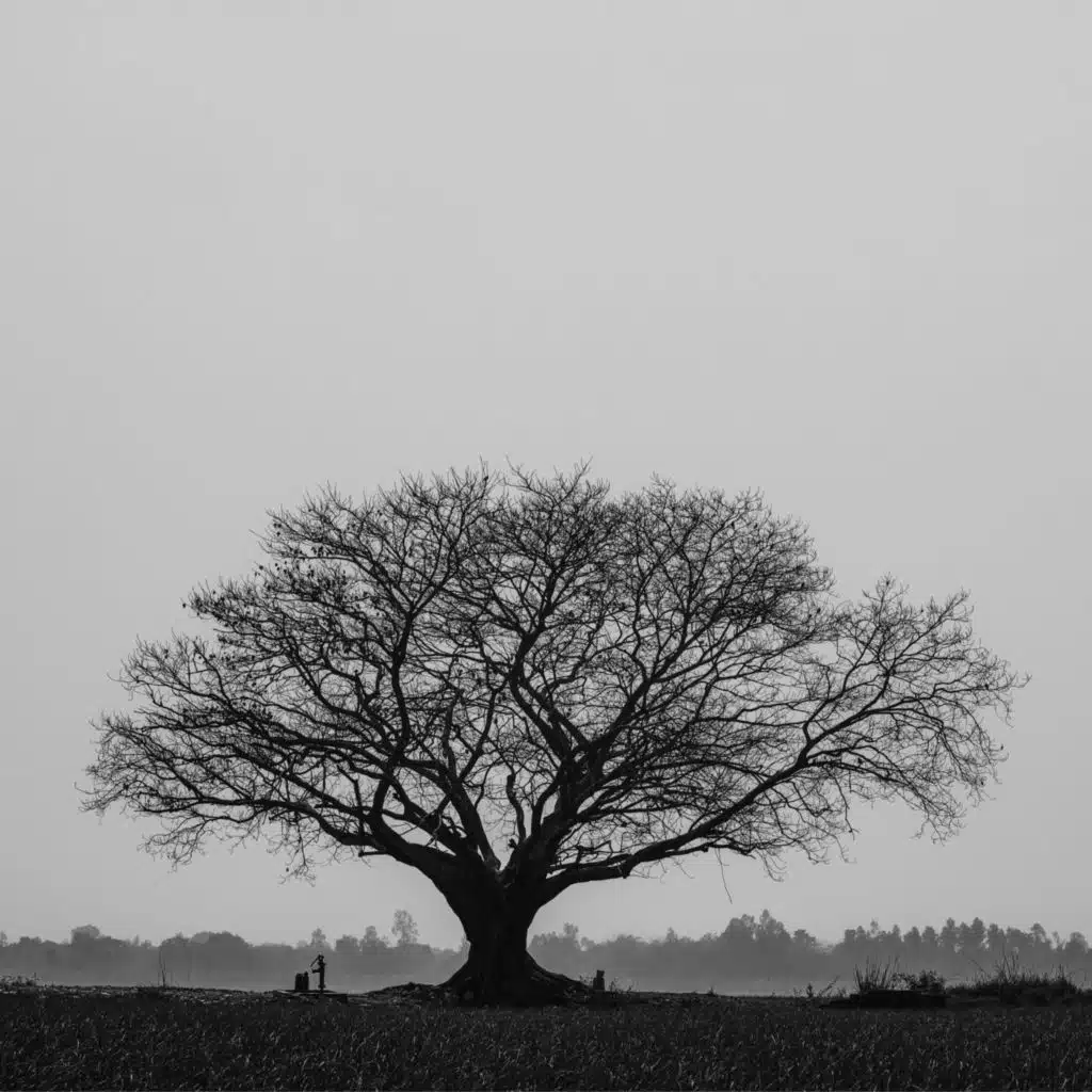 Chill and Lo Fi Vibes for Relax and Meditation