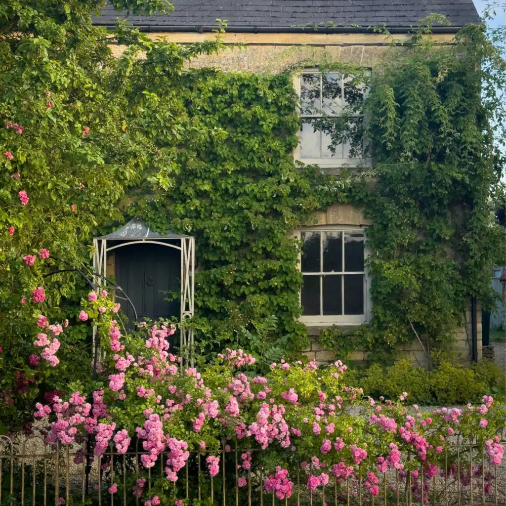 WOWWW, The Chillout Lofi Lab & Lofi Chillout Co.