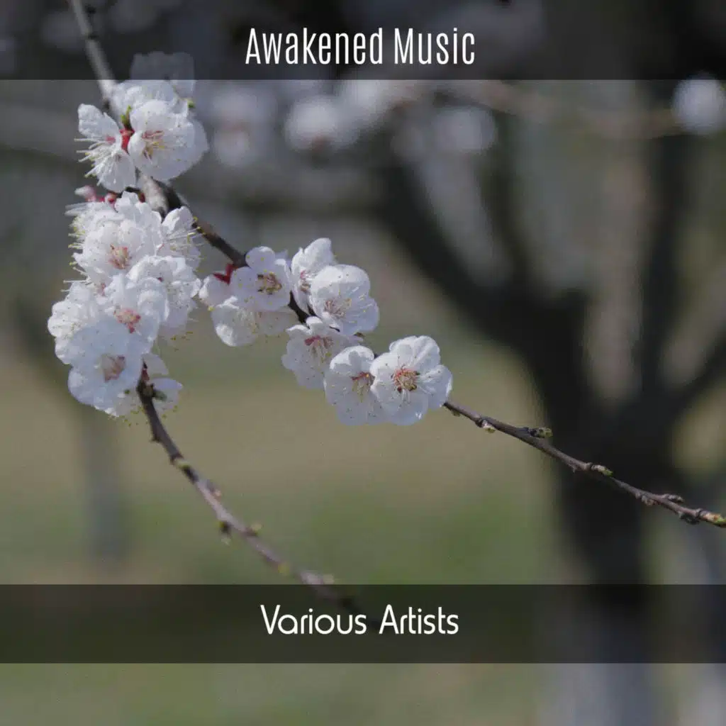 Mind and Body Relaxing (Instrumental)