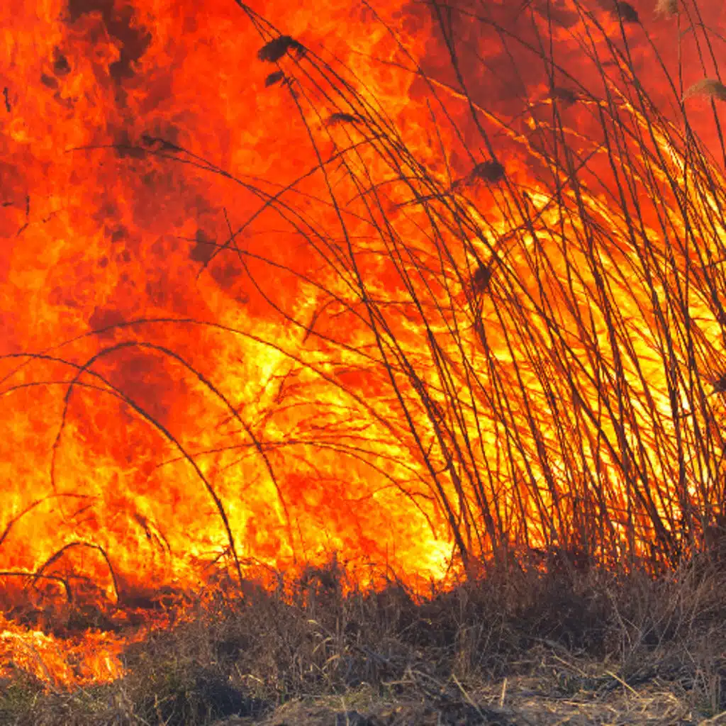 Unrepentant - Adam Kohlstrom