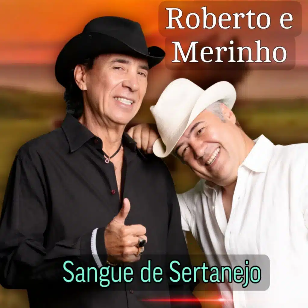 Roberto E Meirinho