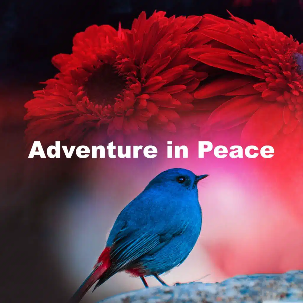 Swedish Forest Birds