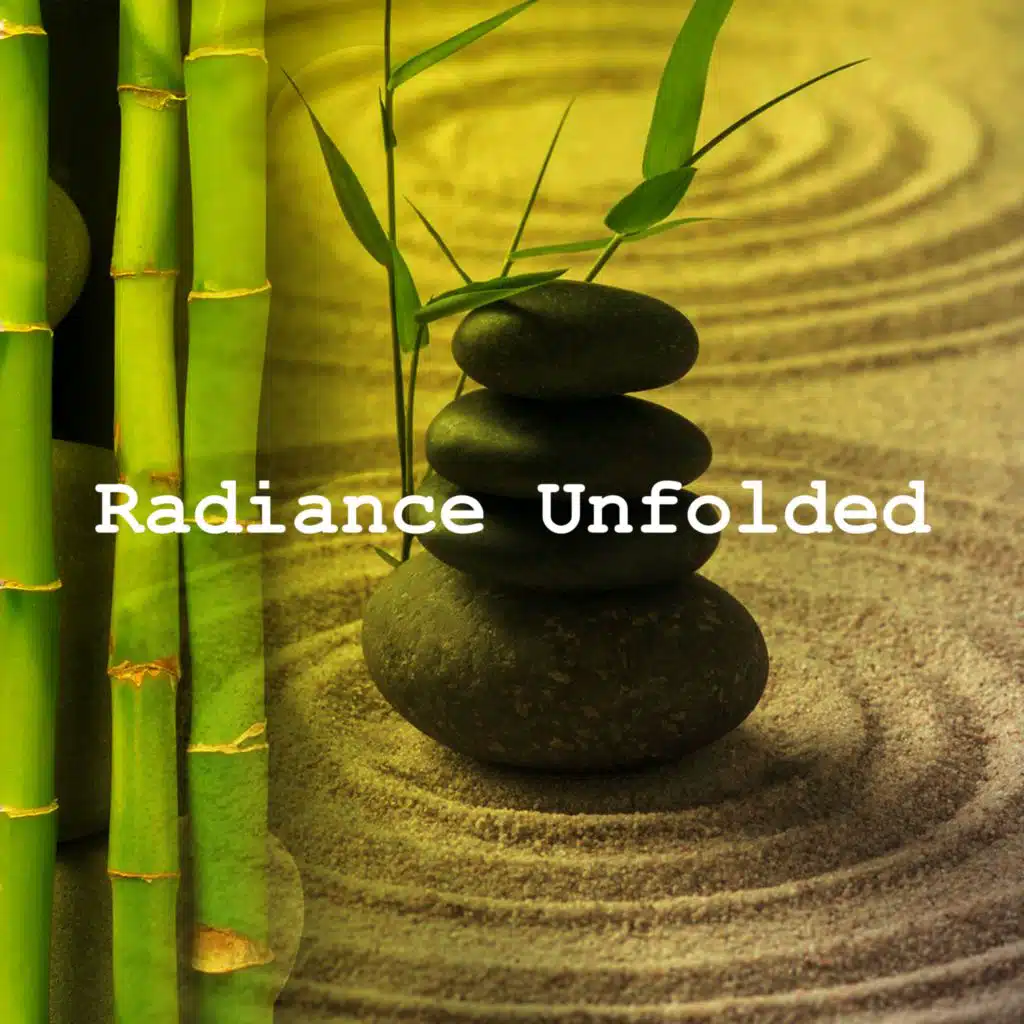 Zen Méditation Académie